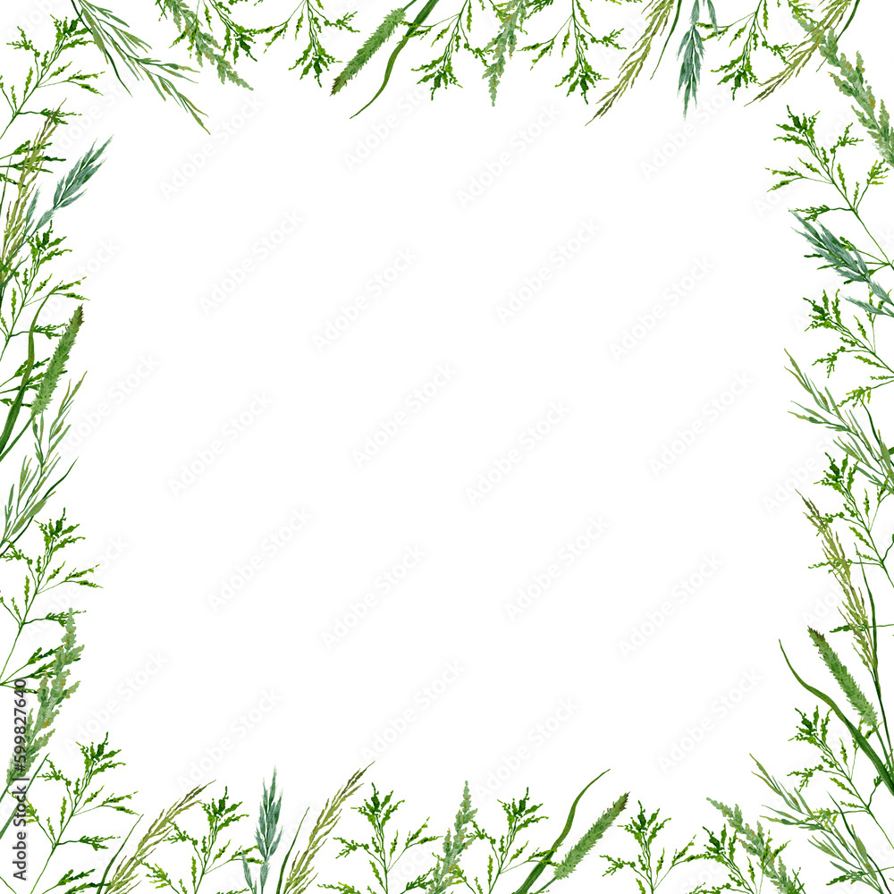 square frame from field herbs against white background.
