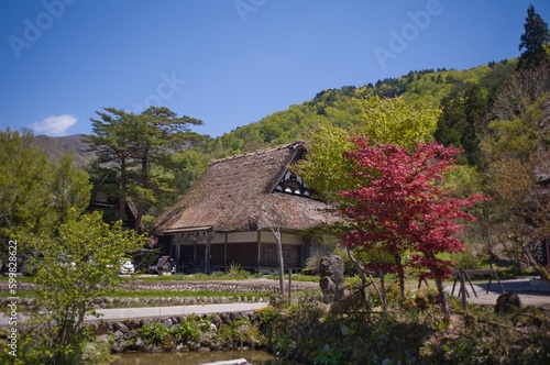 世界遺産飛騨白川郷の春