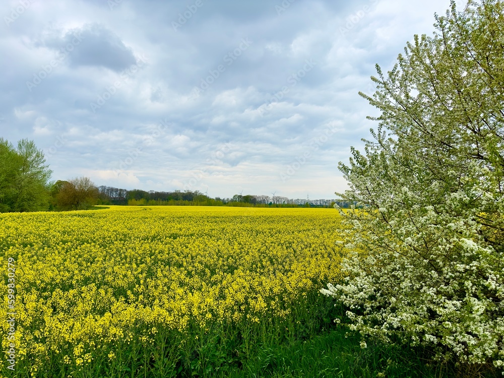 Landschaft Koldinger Seen / Leineauen (Niedersachsen) Landschaft Koldinger Seen / Leineauen (Niedersachsen)