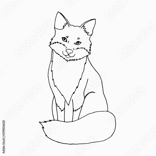 fox sketches, outline with transparent background, hand drawn illustration fox cub