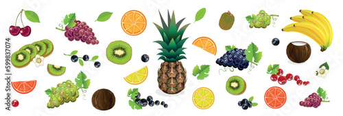 Vector set of delicious fruits and berries on a white background. Kiwi, lemon, orange, pineapple, grape, currant, red currant, black currant, blueberry, coconut, banana, cherry, berries.