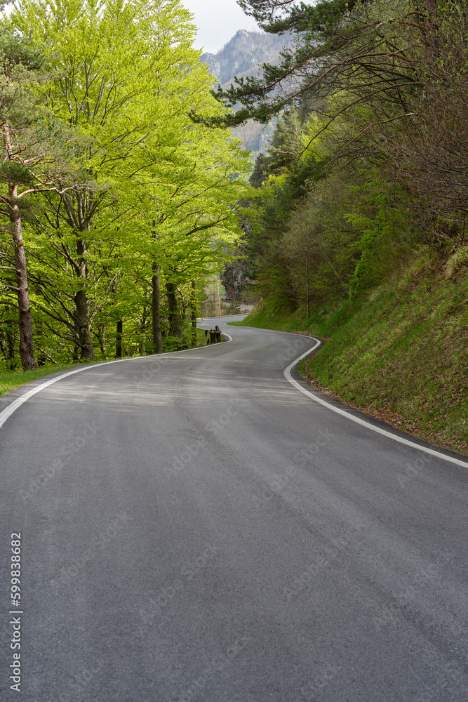 Fototapeta premium Road leading towards mountains