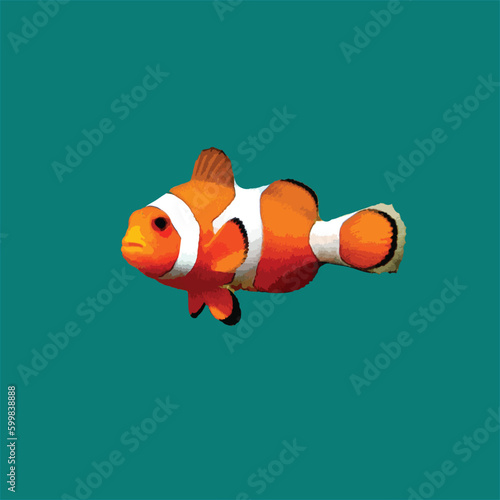 cute Nemo in the sea 