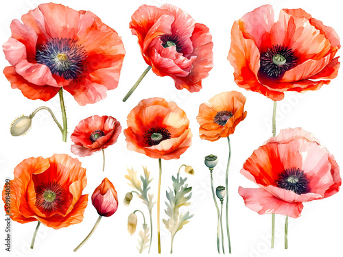 Watercolor poppy cliparts, isolated, created with Generative AI technology
