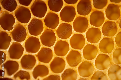 Fresh honey comb forming a beautiful texture pattern background 