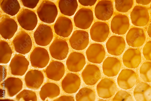 Fresh honey comb forming a beautiful texture pattern background 