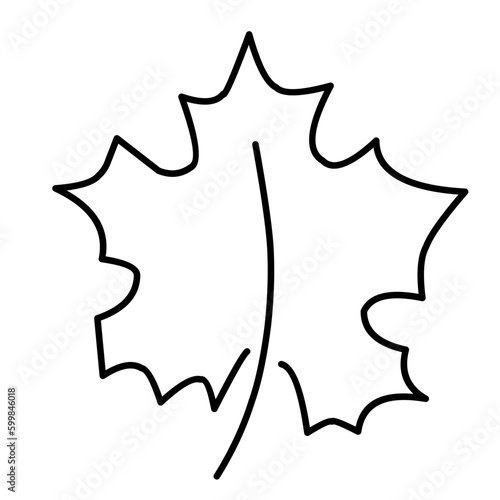 Hand Drawn Leaf Line Icon