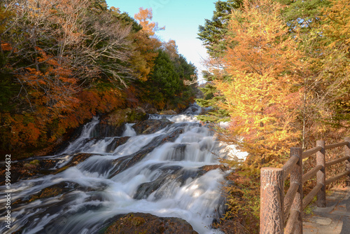 The beautiful colors of autumn.