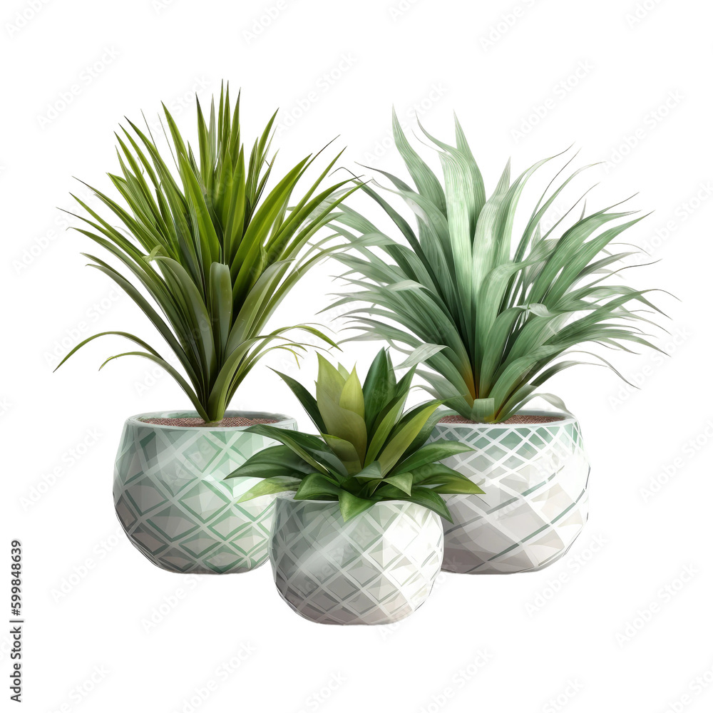 Fototapeta premium Plants in ceramic pots. Transparent isolated background. AI generated