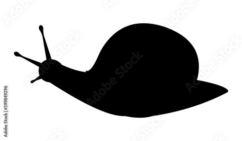 Black silhouette of a snail