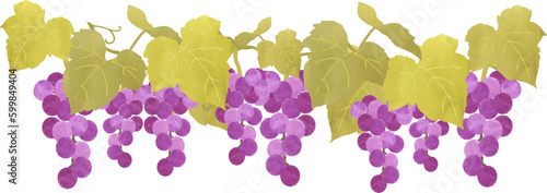 紫のぶどうの水彩風イラスト