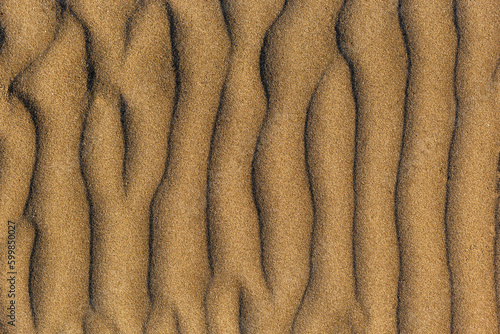 Dune waves and sand pattern. Wave, sand dunes. The sand changes shape due to the wind to form sand ripples and jagged lines. Selective focus. Copy space.