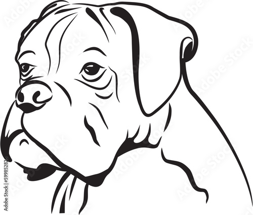 Silhouette head of a boxer dog. Hand drawing vector isolated dog icon. 
