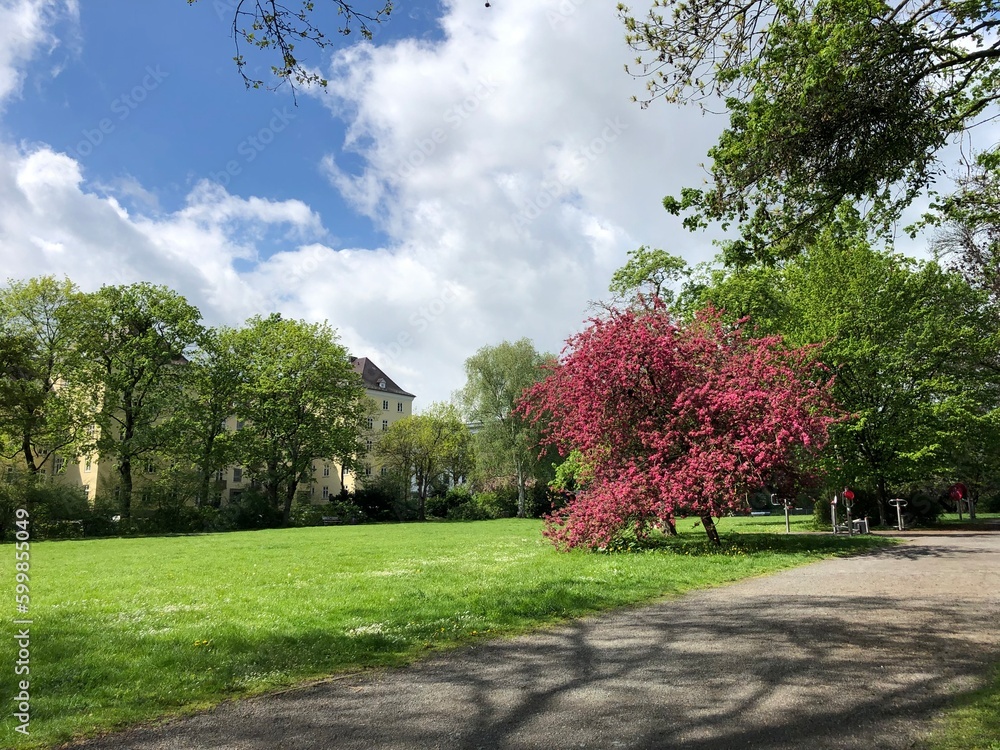 spring in the park spring in the park