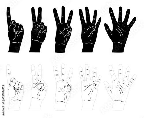Vector illustration of collection of hand gestures. Line art and silhouette collection. Hands with fingers. Education counting icons set