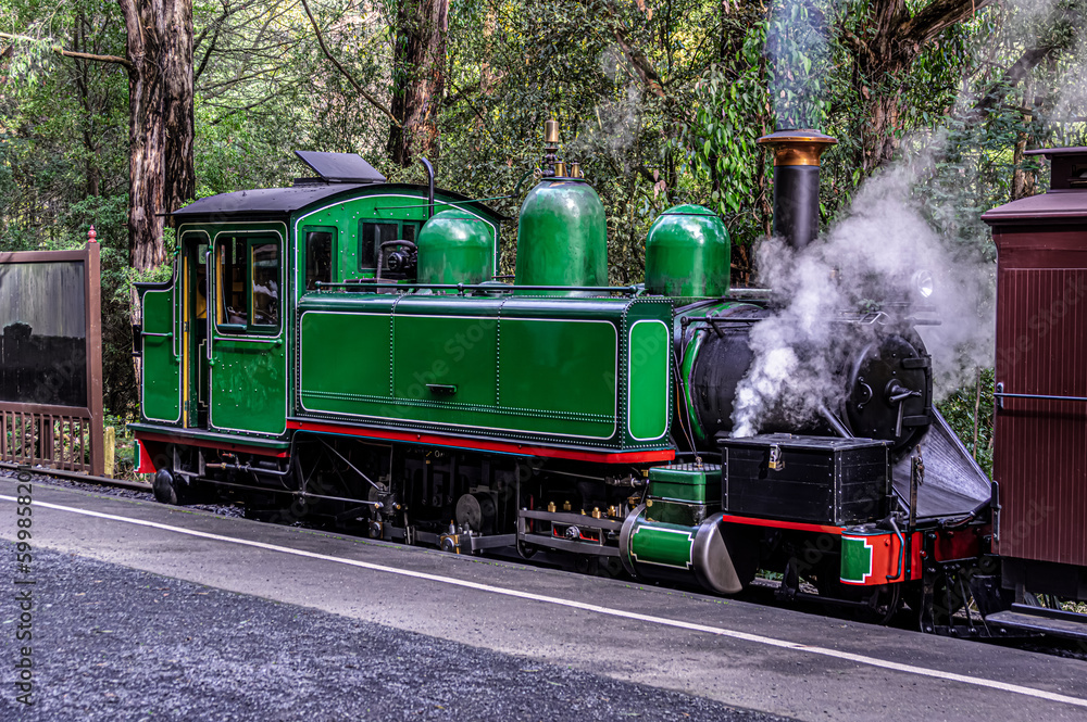 Obraz premium Green Puffing Billy