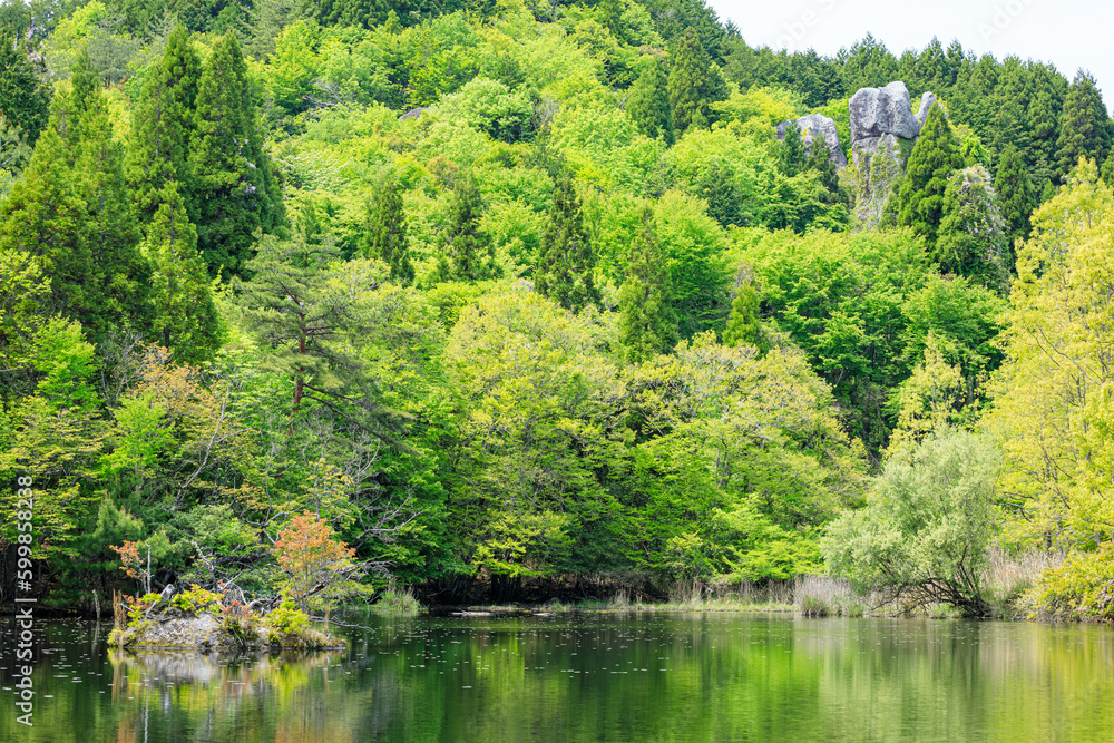 新緑の鶴ヶ原の景 大分県玖珠郡 Scenery of fresh green Tsurugaharanokei. Ooita Pref, Kusu gun. 新緑の鶴ヶ原の景 大分県玖珠郡 Scenery of fresh green Tsurugaharanokei. Ooita Pref, Kusu gun.