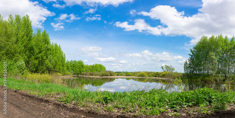 Bright summer panoramic landscape with a beautiful pond and green trees on a sunny day