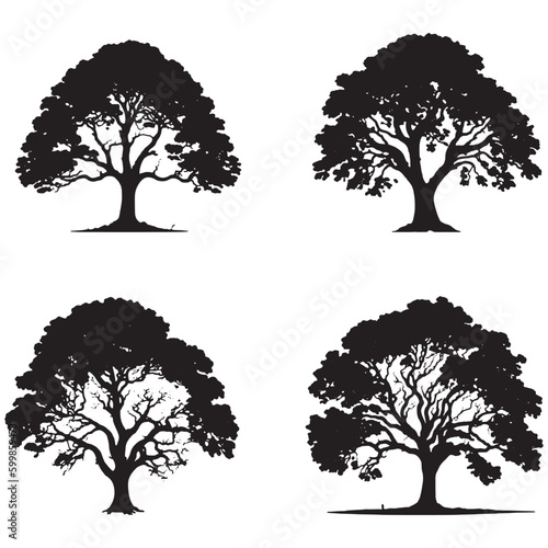 set of Banyan trees silhouettes. Big tree black silhouette