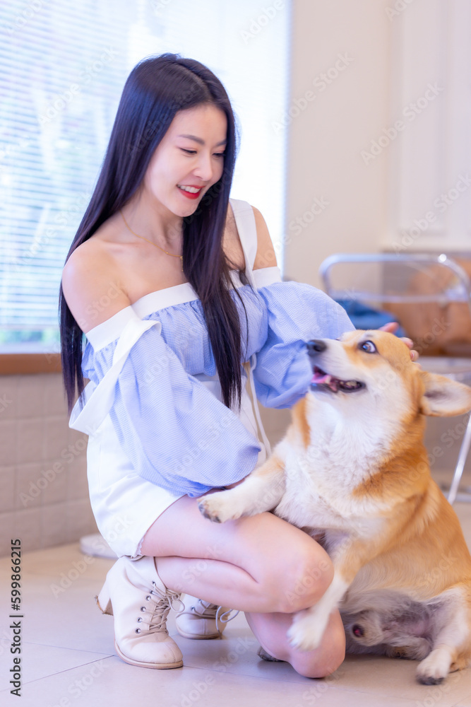 Beautiful woman have fun playing with her adorable pet. Happy woman smiling and holding her dog.Young asian woman enjoying with a dog.Fun with domestic animal.Love and friendship with pet.copy space.