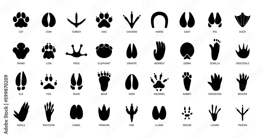 Animals footprints. Prints animal bird paw, wildlife foot icon, domestic pets footstep silhouette, print hoofed feet, black amphibia feet track vector set - obrazy, fototapety, plakaty 
