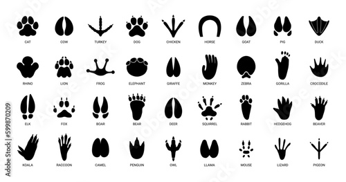 Fotobehang Animals footprints