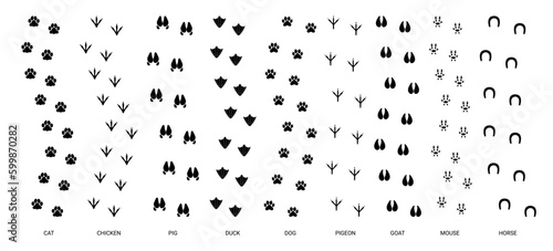 Step tracks animal trails. Animals paw footprint, pet trace footstep, walking cat step, bird trail feet, dog print, silhouette pawprints vector set