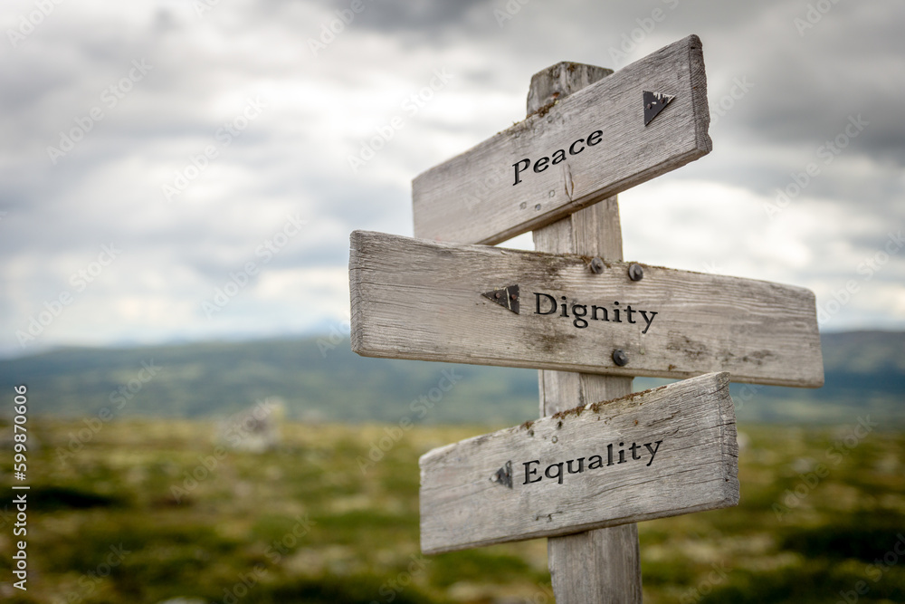 peace dignity equality text quote written on wooden signpost outdoors in nature.