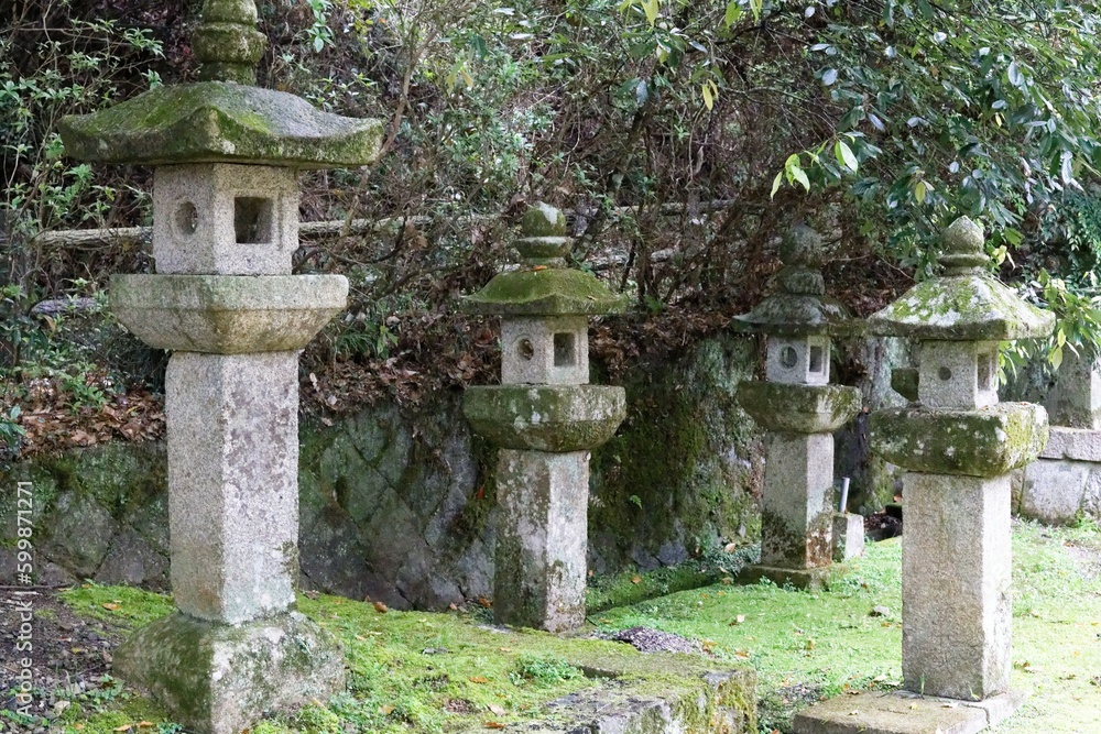 Tranquil Scene at a Japanese Shrine: Four Stone Lanterns Standing Beneath a Majestic Tree, Partially Covered in Green Moss Tranquil Scene at a Japanese Shrine: Four Stone Lanterns Standing Beneath a Majestic Tree, Partially Covered in Green Moss