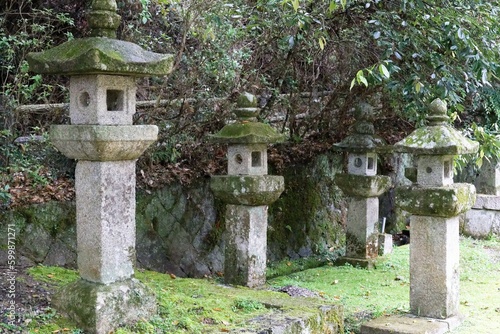 Tranquil Scene at a Japanese Shrine: Four Stone Lanterns Standing Beneath a Majestic Tree, Partially Covered in Green Moss