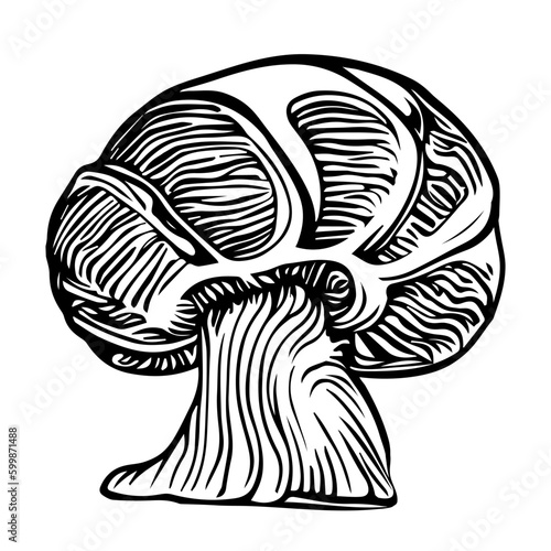 Black hand-drawn vector illustration of One fresh mushroom isolated on a white background