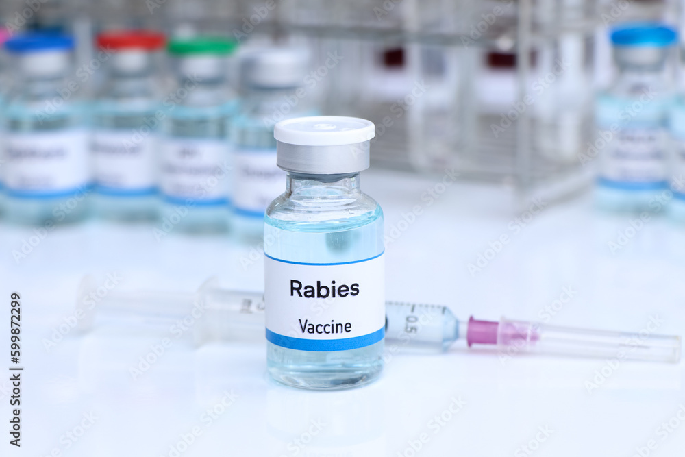 Rabies vaccine in a vial, immunization and treatment of infection Rabies vaccine in a vial, immunization and treatment of infection