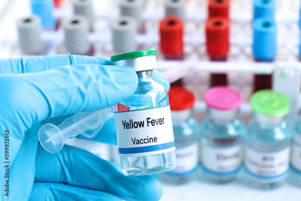 Yellow Fever vaccine in a vial, immunization and treatment of infection Yellow Fever vaccine in a vial, immunization and treatment of infection