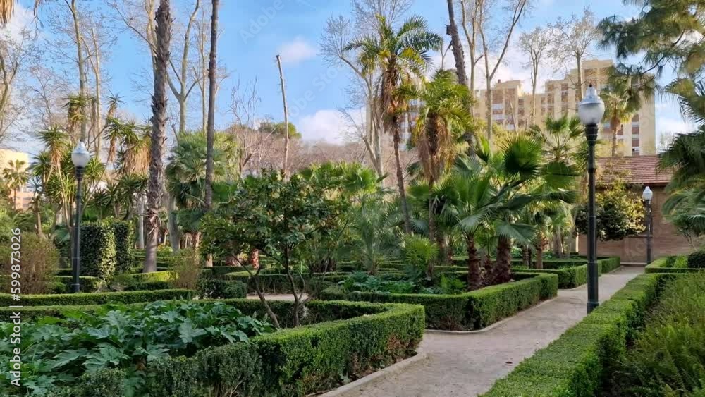 Spring in the park with pond Parc Ribalta. Walk through a park in Spain in the spring on a sunny day. Castellon Spring in the park with pond Parc Ribalta. Walk through a park in Spain in the spring on a sunny day. Castellon