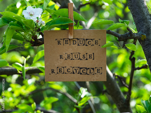 Piece of cardboard with the words Reduce Reuse Recycle on it hanging on a pear tree branch with blossoms and leaves using a wooden clothespin. © rosinka79