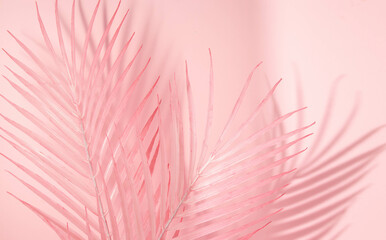 Summer aesthetic layout with pink palm leaves on pastel pink background. 80s or 90s retro idea. Minimal summer fashion idea.