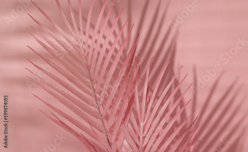 Summer aesthetic layout with pink palm leaves and shadows on pastel pink background. 80s or 90s retro idea. Minimal summer fashion idea.