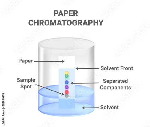 Vector scientific illustration of ascending paper chromatography – an analytical method used to separate components between stationary and mobile phases. Method for identifying substances.