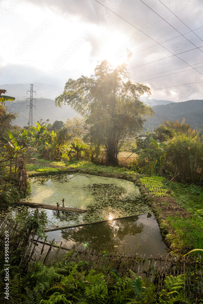 Fototapeta premium the countryside around Ninh Binh, Vietnam