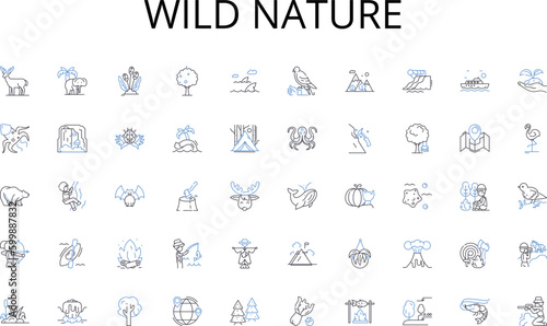 Wild nature line icons collection. Leadership, Vision, Strategy, Expertise, Innovation, Experience, Responsiveness vector and linear illustration. Accountability,Decision-making,Collaboration outline