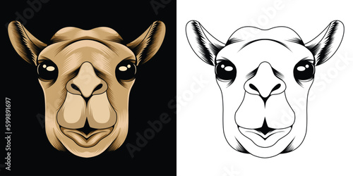 Camel head vector illustration