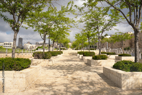 Fototapeta Naklejka Na Ścianę i Meble -  Beautiful alley with trees in flower beds in jerusalem