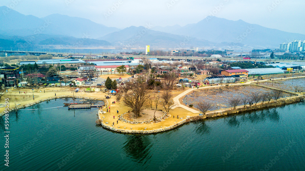 tree of river side