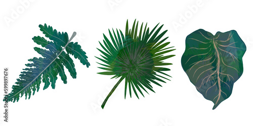 Set of tropical leaves  leaves with texture . Elements for design