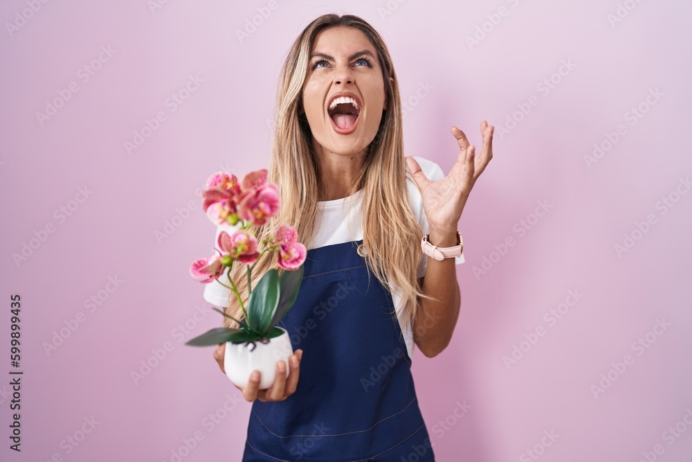 Young blonde woman wearing gardener apron holding plant crazy and mad shouting and yelling with aggressive expression and arms raised. frustration concept. Young blonde woman wearing gardener apron holding plant crazy and mad shouting and yelling with aggressive expression and arms raised. frustration concept.