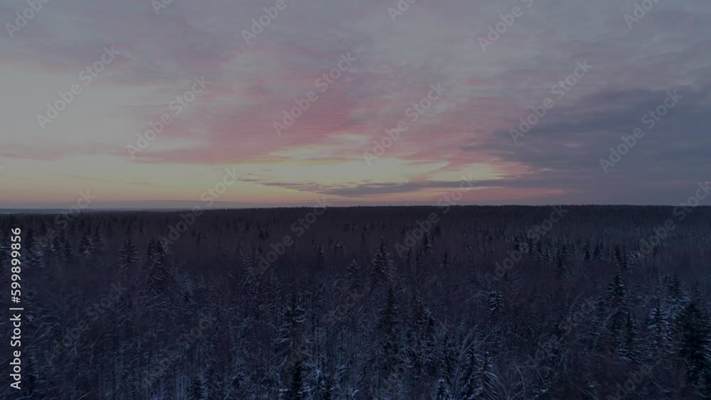 Aerial shot of Winter Forest at Sunset