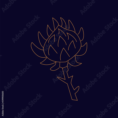 Mystic prickly flower Hand draw boho fantasy art for poster or t-shirt