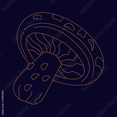 Magic spotted mushroom Hand draw boho fantasy art for poster or t-shirt