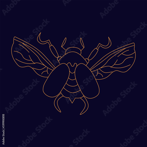 Flying golden scarab Hand draw boho fantasy art for poster or t-shirt
