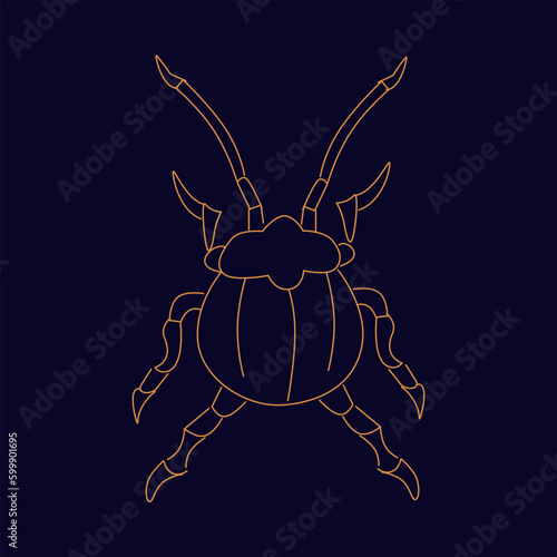 Golden scarab Hand draw boho fantasy art for poster or t-shirt